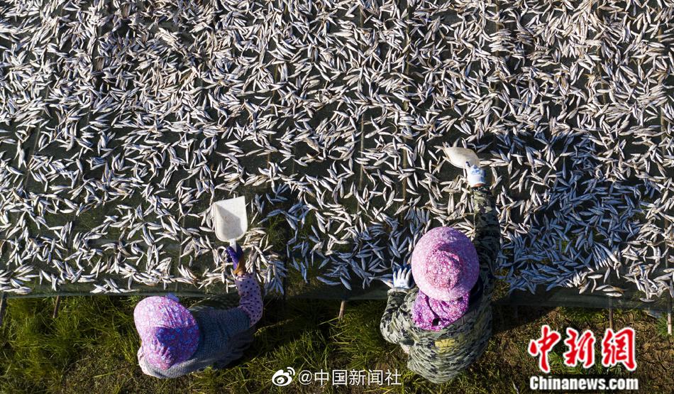 黄色网站免播放器在线视频在线碰视频