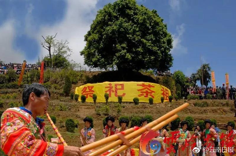 中文字幕无码Av波多野吉衣