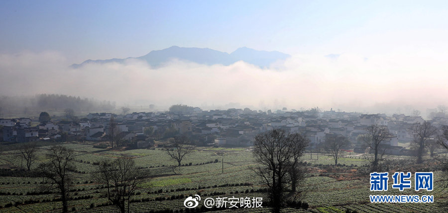 西欧性开放另类老太婆