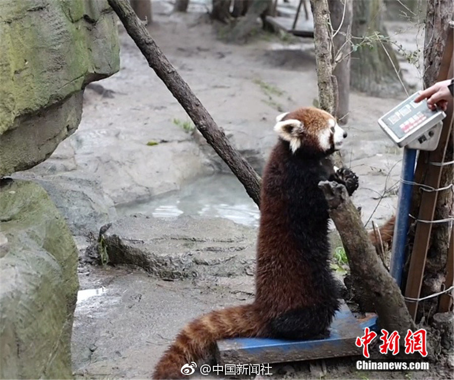 亚洲精品片