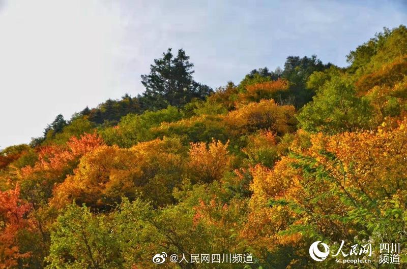Japan Hd69Xxxxhd47