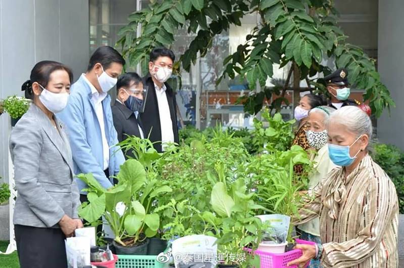 张柏芝跪下吃J8长什么样