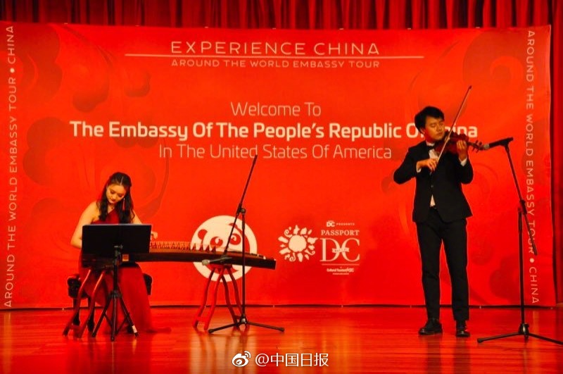 正能量你懂我意思你会回来感谢我的意思是樱花