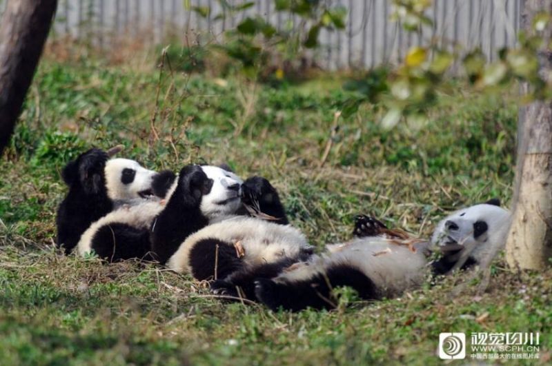 国模私拍无码