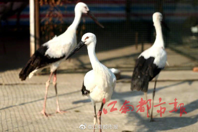 苍井空高潮喷水