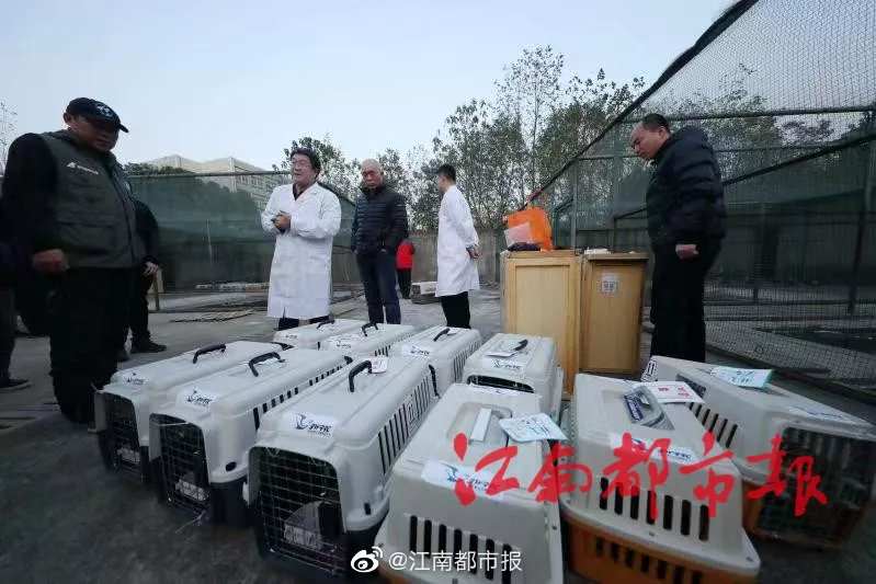 中国饥喝妓女老太漂Bbww视频