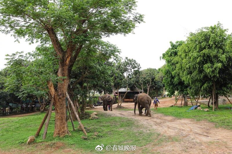 好色先生TV下载
