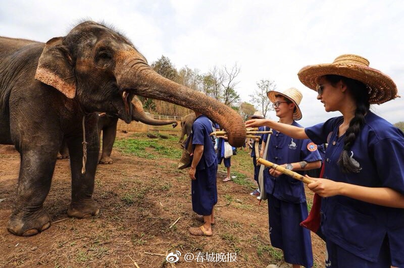 欧洲顶级三级片