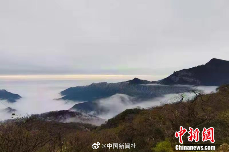 巜公妇之诱感肉欲HD中文版