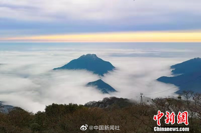 上原亚衣无码Av影片