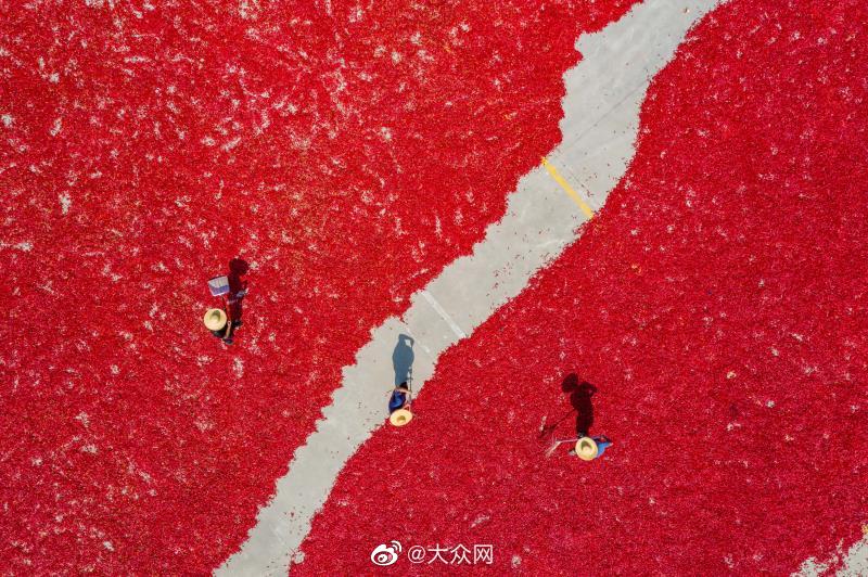 芳芳  爽 舒服死了