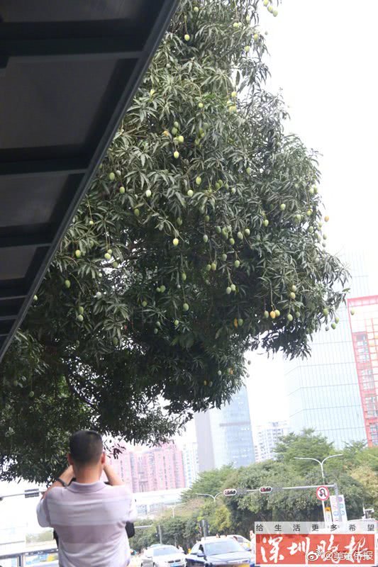 免费 成人 电影 片