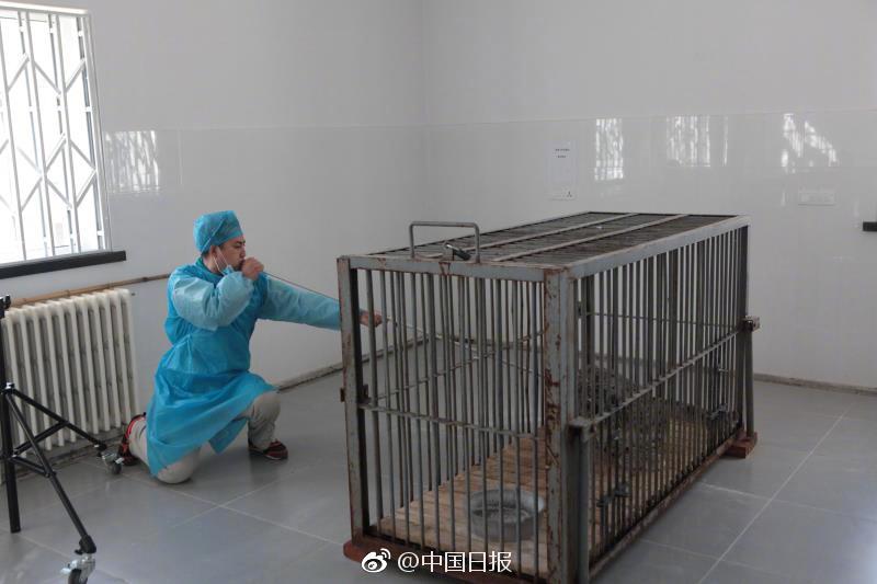 浪小辉巨茎帅警GVFUCK