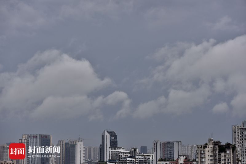 夫妇精品视频在线观看