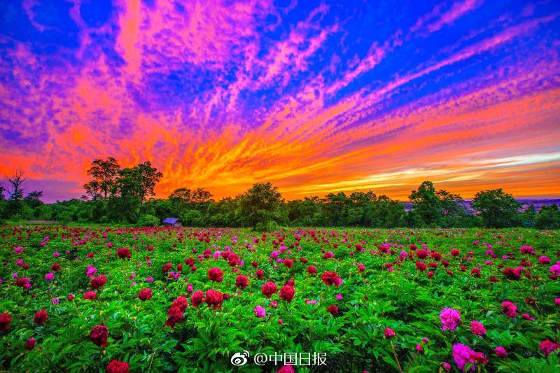 周曉涵