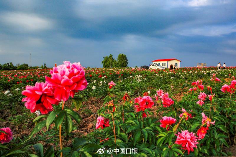 他趴在我两腿中间吸我