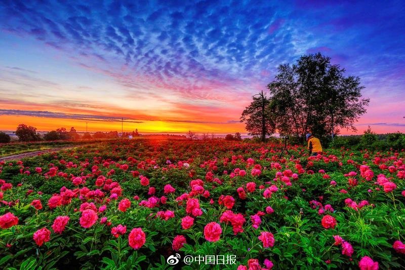 中文字幕人成乱