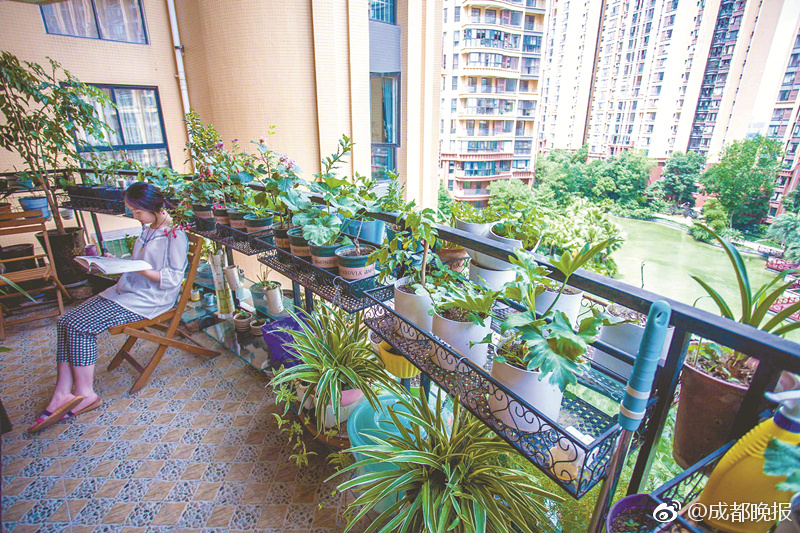 欧美极品性饥渴少妇大战黑人