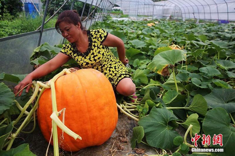夫妻生活片黄色一级片