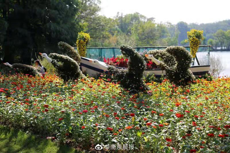 张丽Avhd