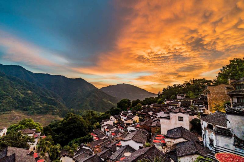 東尼大目