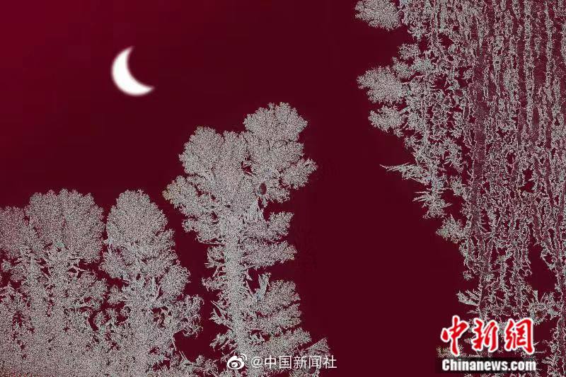 免费 的 色情 电影