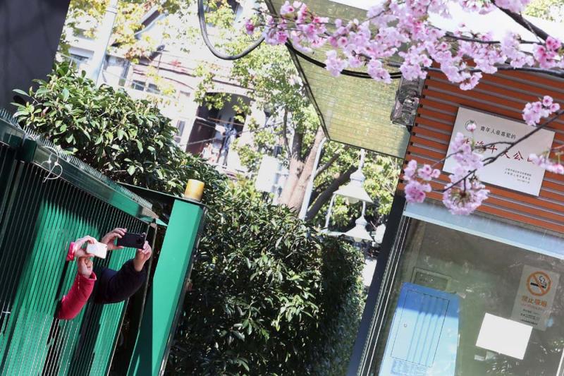真野恵里菜