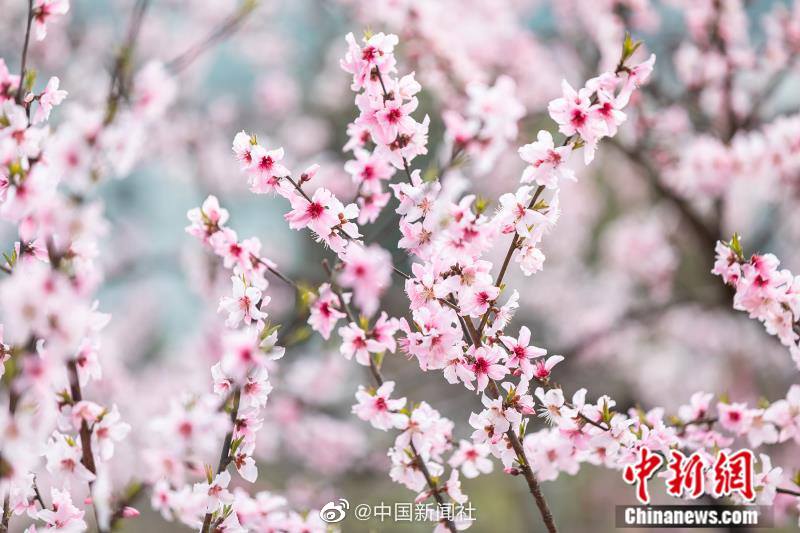 韓國女星