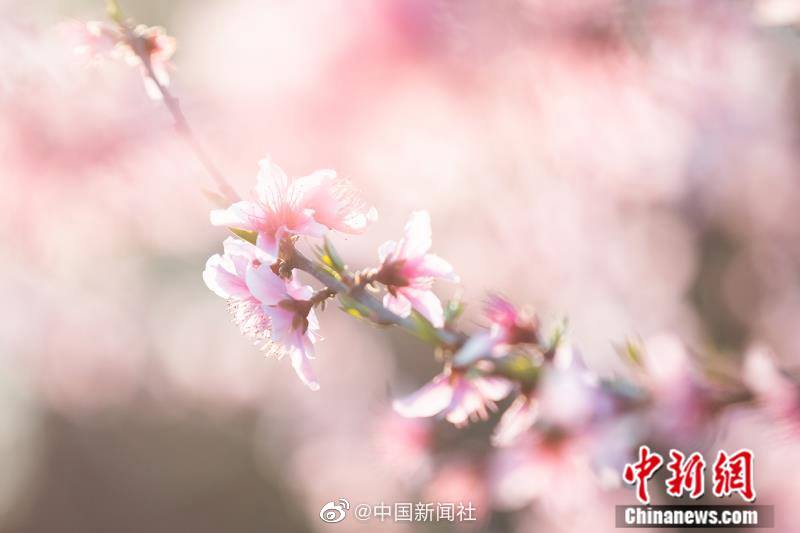 女老师自慰电影