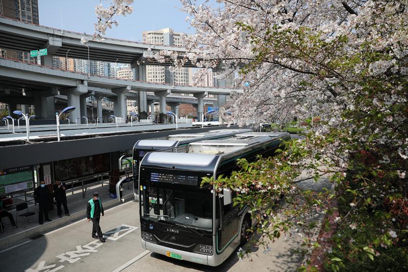 迷失の生命官网下载