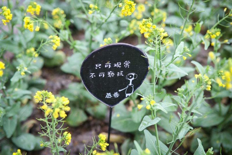国产性猛交 XX 乱动漫小说