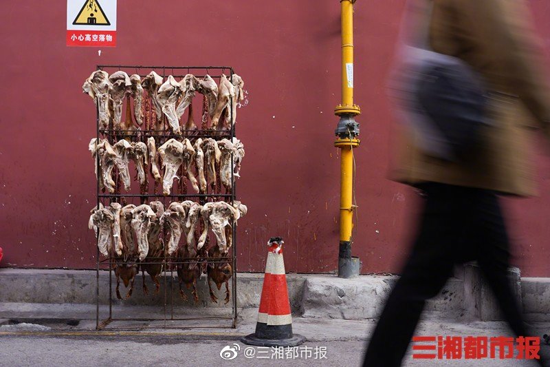 呻吟内射在线