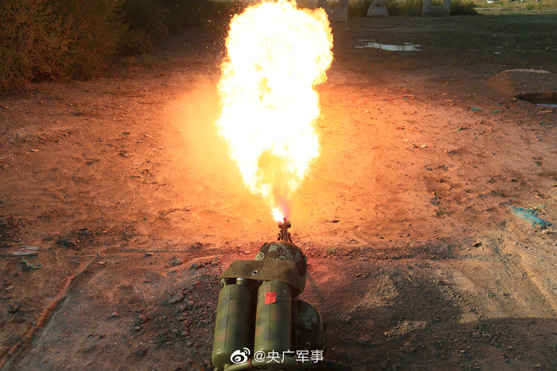 chinese女王调奴807