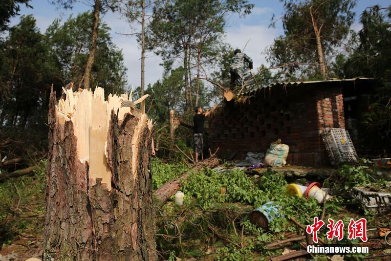 习近平总书记在深度贫困地区脱贫攻坚座谈会上的重要讲话引起强烈反响