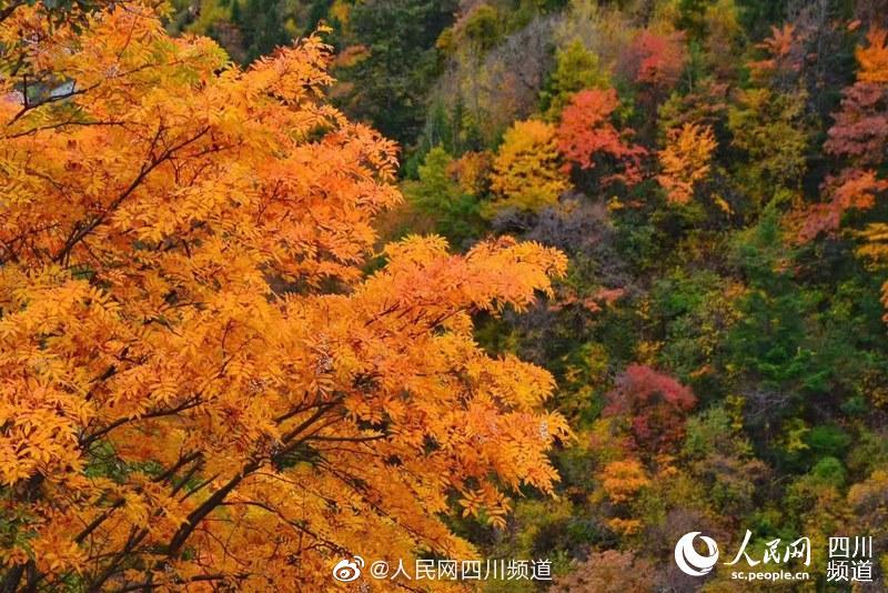 推女郎李丽莎大尺度喷血