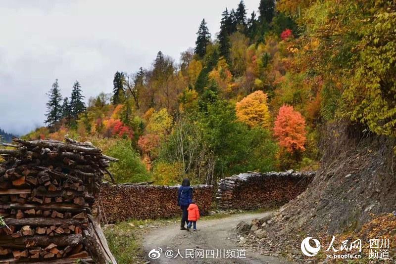 英国三级黄色片