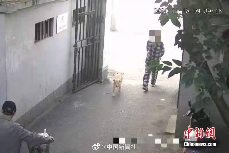 大毛片