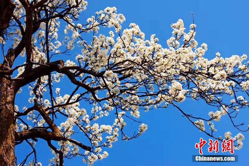 新婚夜被强伦无删减版