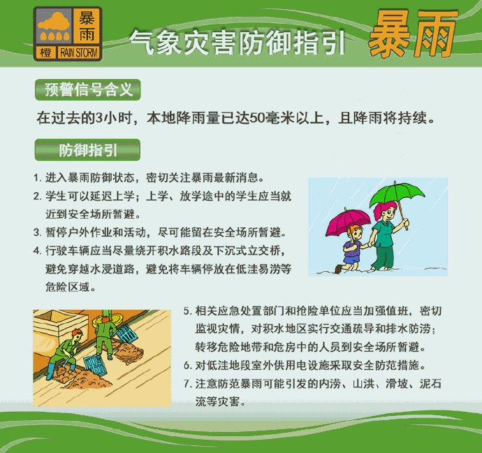 大龄熟女A级黄片