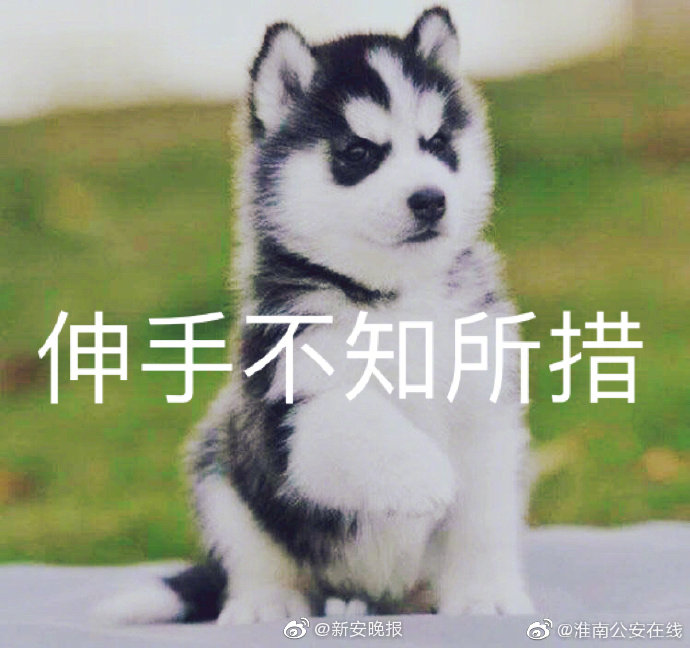 免费 色情 网
