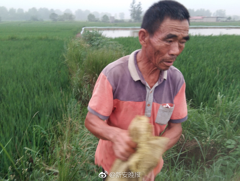 武汉助孕妈妈哪里找,观察尿液的透明度