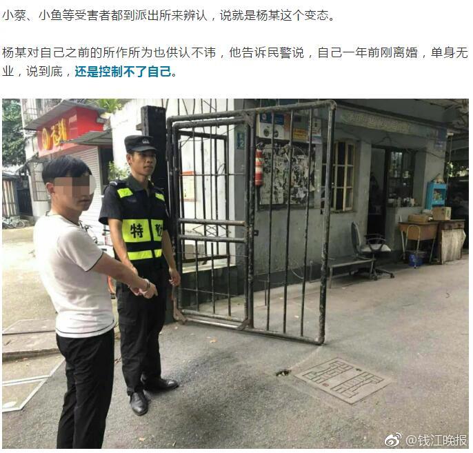 久久一级片