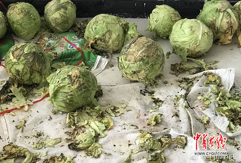 日本 色情 片 无码