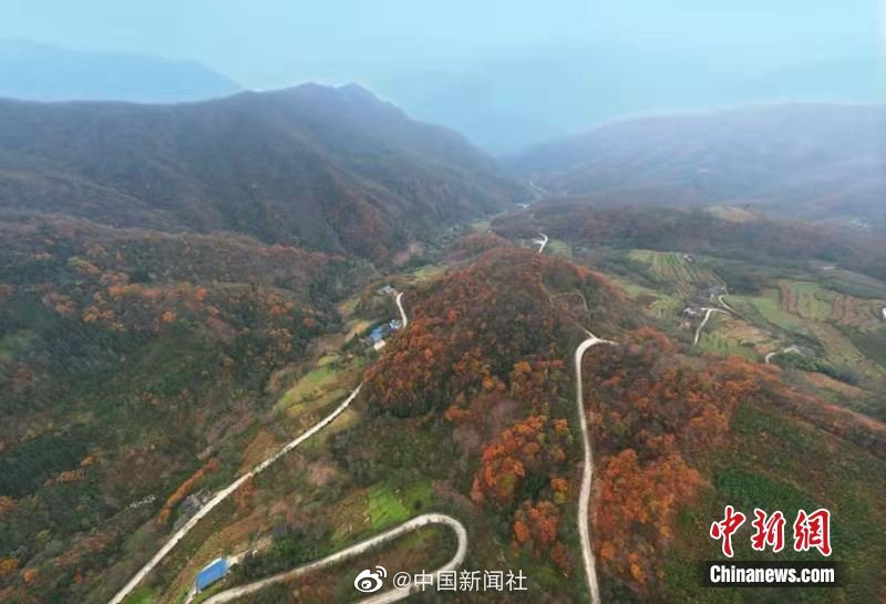 久我美波