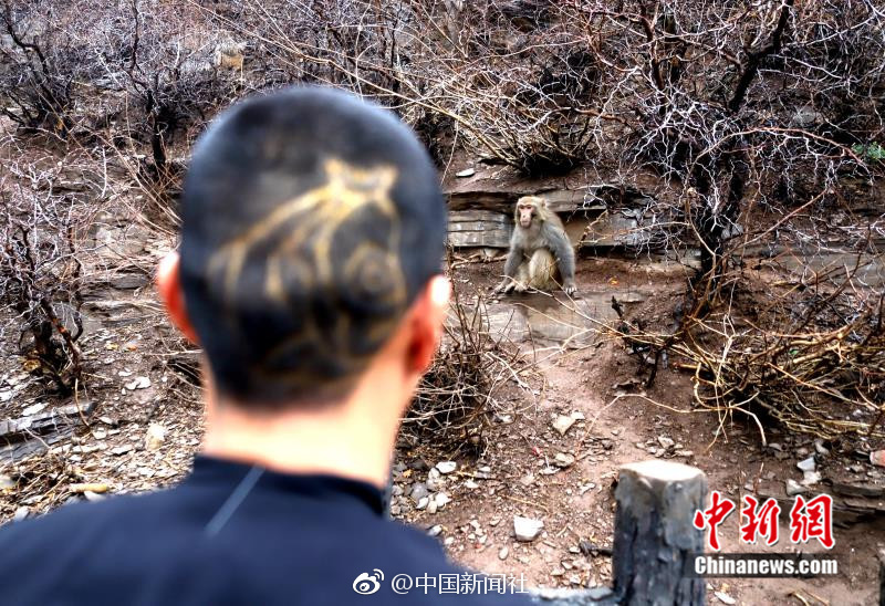 久留木玲