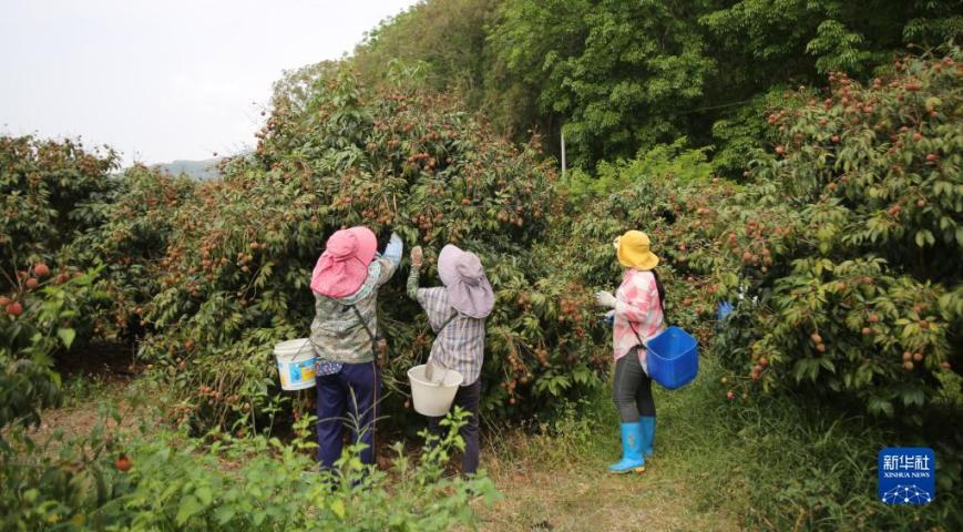 魅魔～婬辱の教室樱花动漫