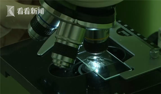女性脱 给我揉 真人