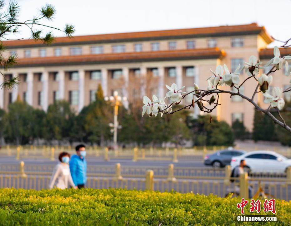 水仙直播