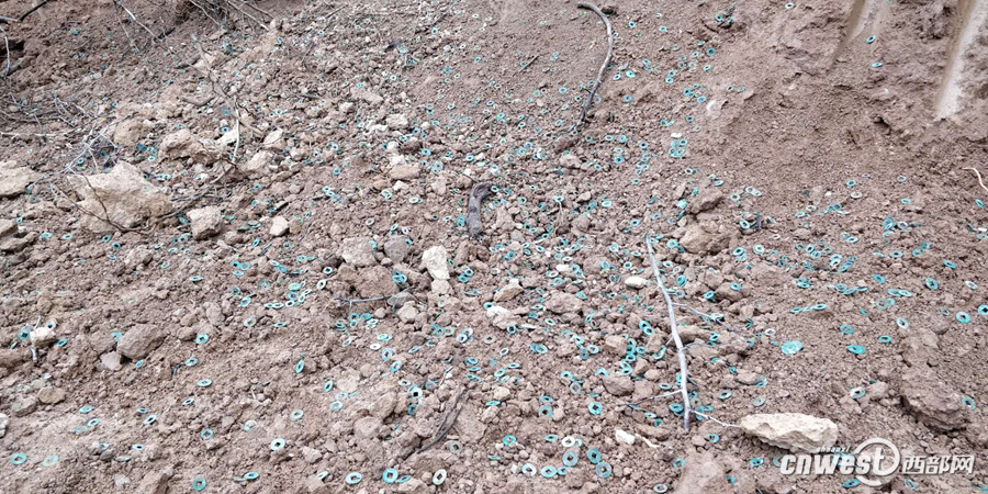黄色片网站视频欧美