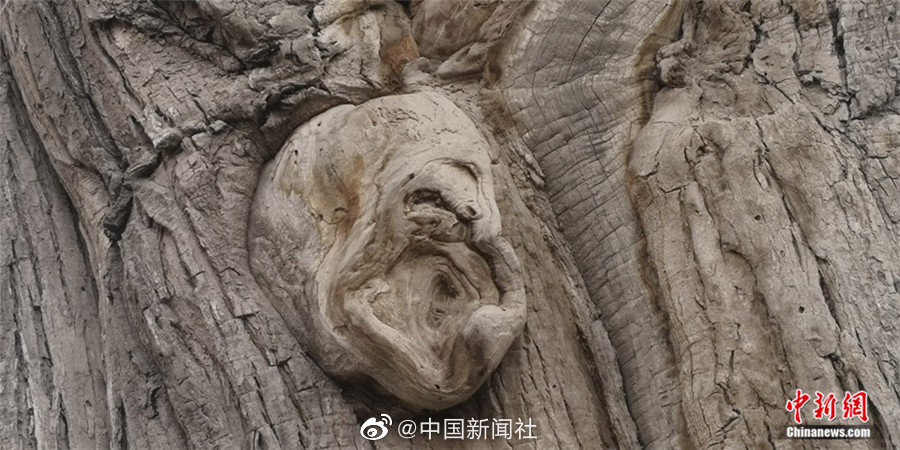 老师露出 强行让男生揉动漫